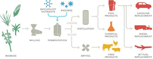 Schéma produkce a využití biopaliv
