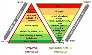 Výživová pyramida.jpg